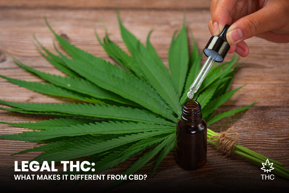 Legal THC: What Makes It Different from CBD?