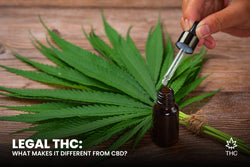 Image of Legal THC: What Makes It Different from CBD?