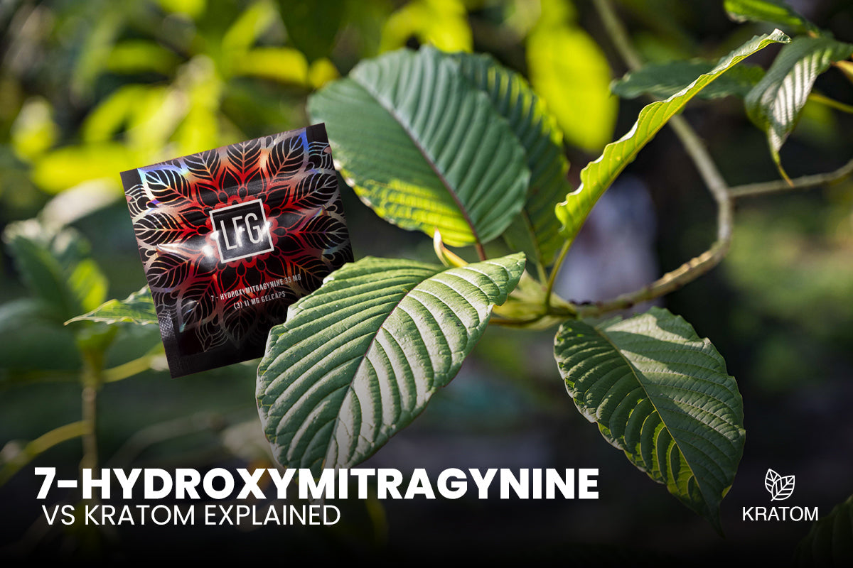 Battling Plant Powerhouses: 7-Hydroxymitragynine vs Kratom Explained