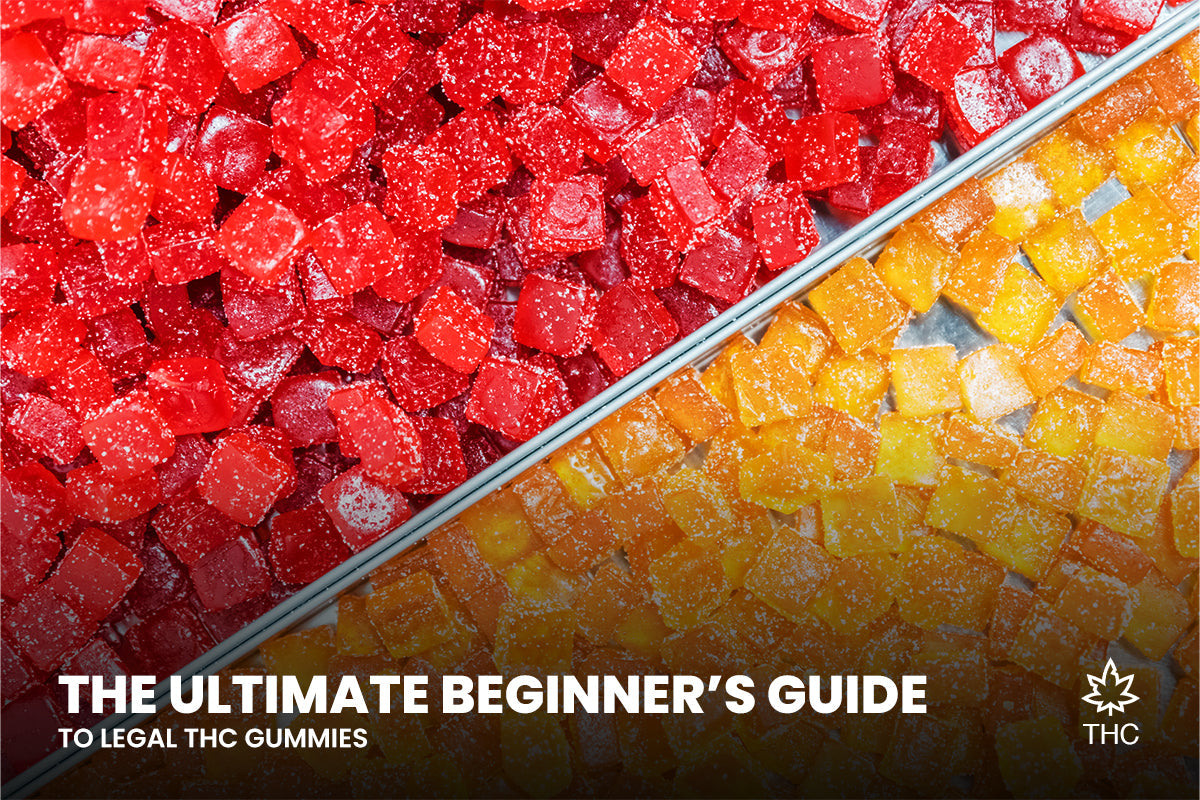 The Ultimate Beginner’s Guide to Legal THC Gummies – King B Distribution