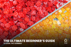 Image of The Ultimate Beginner’s Guide to Legal THC Gummies