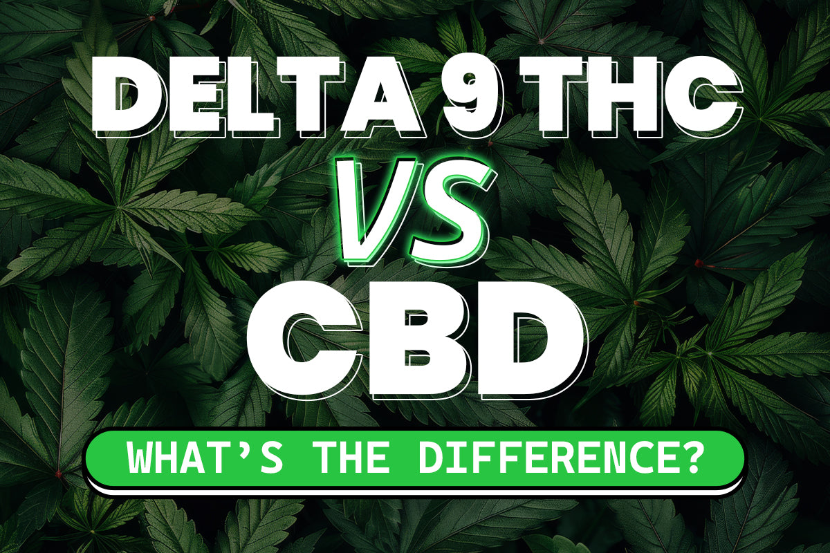 Delta 9 THC vs. CBD: What’s the Difference?