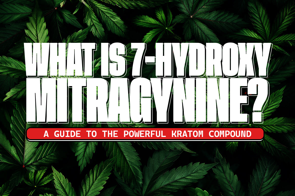 What is 7-Hydroxy Mitragynine? A Guide to the Powerful Kratom Compound